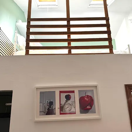 Monoviareggioconangolocottura Apartment Viareggio